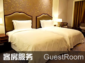 ���ͺ�����Ȫ�ȼپƵ�ͷ�����